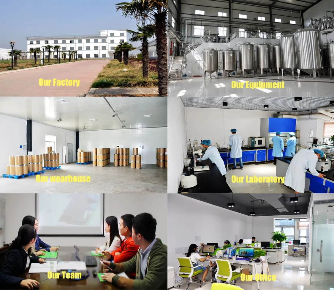 product-1-1 Company Information by Botanical Cube Inc.