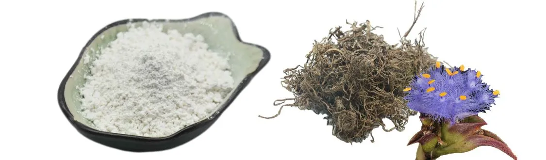 product-1-1 98% Beta Ecdysterone Powder of Botanical Cube Inc.2
