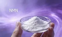 Kateri je najboljši dodatek NMN?